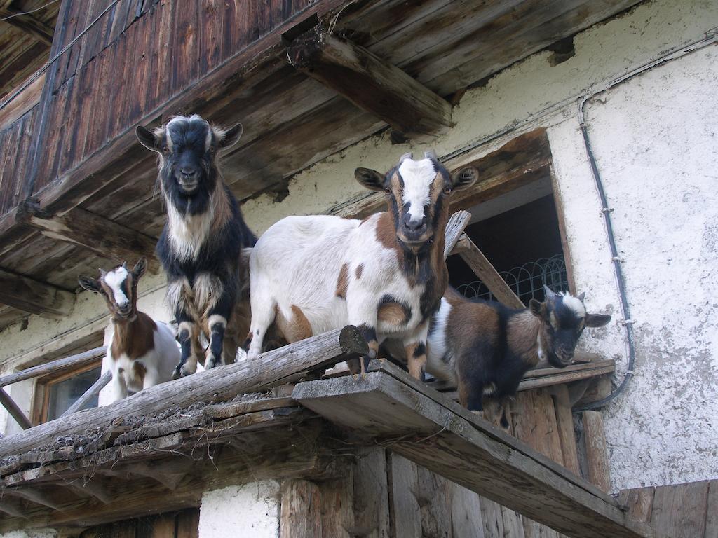 Oberschoellberghof Lutago Eksteriør billede
